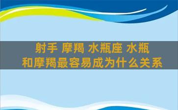 射手 摩羯 水瓶座 水瓶和摩羯最容易成为什么关系